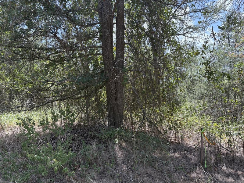 TBD Honolulu LN, Bastrop, TX 78602