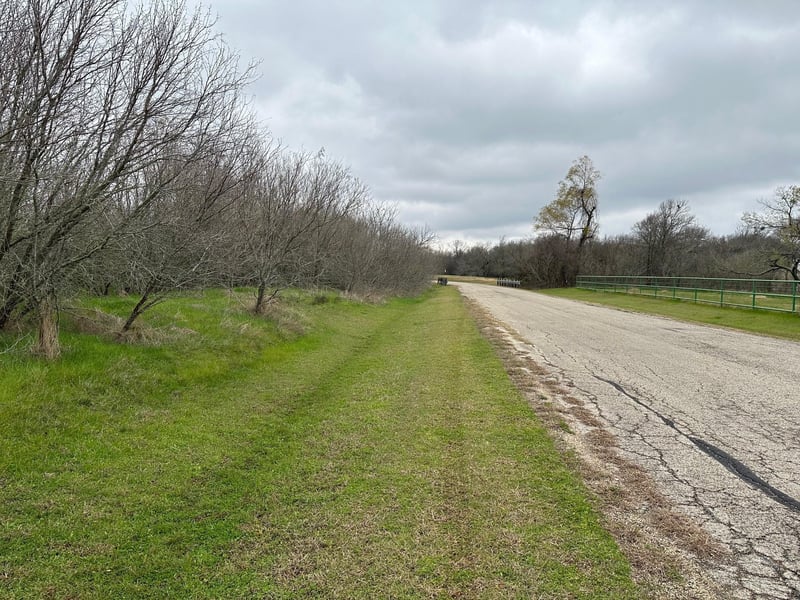 129 Palo Duro DR, Cedar Creek, TX 78612