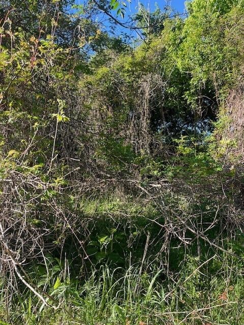 171 Kahana LN, Bastrop, TX 78602