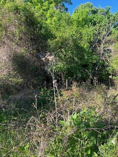171 Kahana LN, Bastrop, TX 78602
