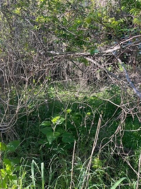 171 Kahana LN, Bastrop, TX 78602
