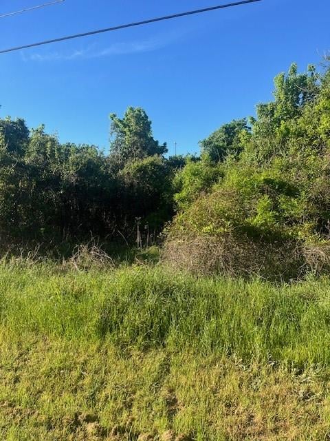 167 Kahana LN, Bastrop, TX 78602