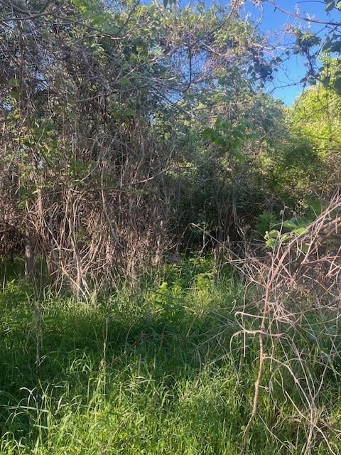 167 Kahana LN, Bastrop, TX 78602