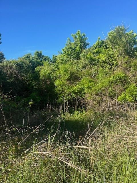 167 Kahana LN, Bastrop, TX 78602