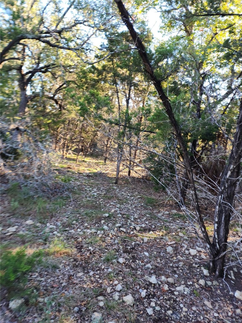 00 Apple Springs DR, Leander, TX 78641