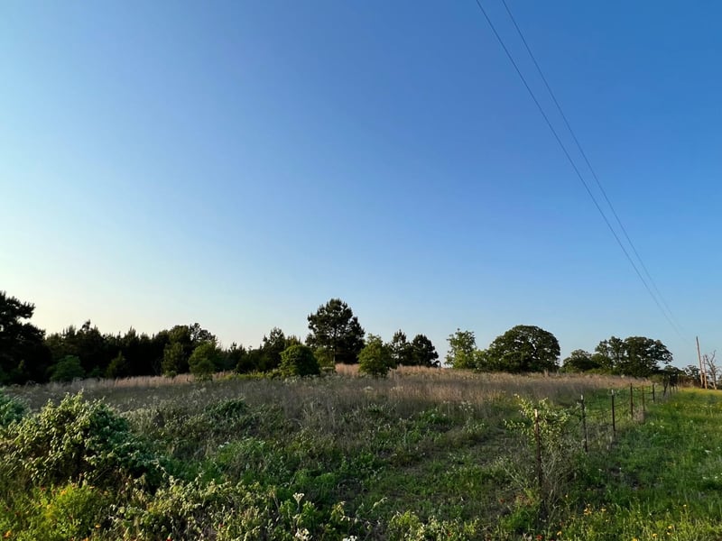 Lot 27 Kinsey Rd, Paige, TX 78659