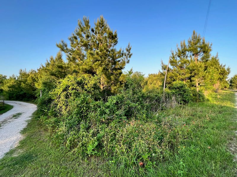 Lot 27 Kinsey Rd, Paige, TX 78659