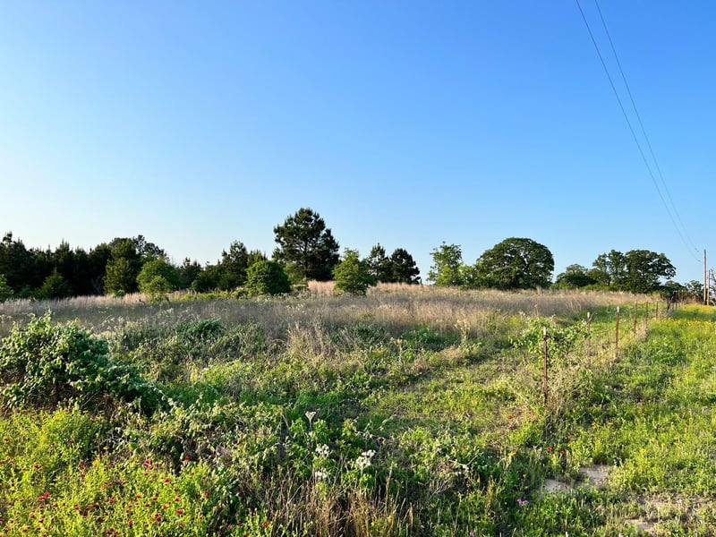 Lot 27 Kinsey Rd, Paige, TX 78659