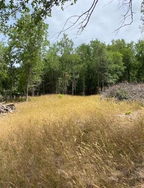 108 Kikipua LN, Bastrop, TX 78602