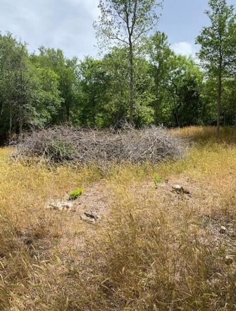 108 Kikipua LN, Bastrop, TX 78602