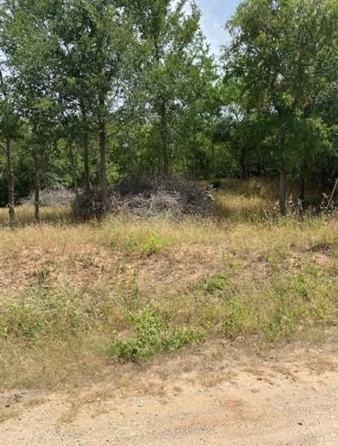 108 Kikipua LN, Bastrop, TX 78602