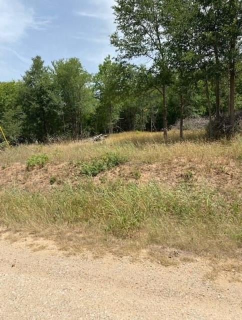 108 Kikipua LN, Bastrop, TX 78602