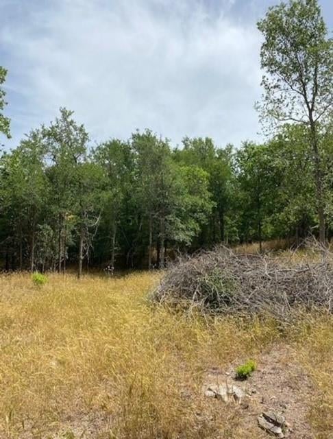 108 Kikipua LN, Bastrop, TX 78602