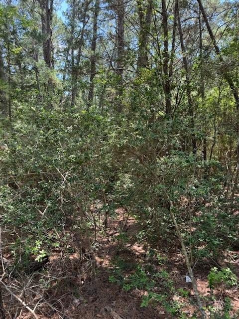 Lot 250 Hekili DR, Bastrop, TX 78602