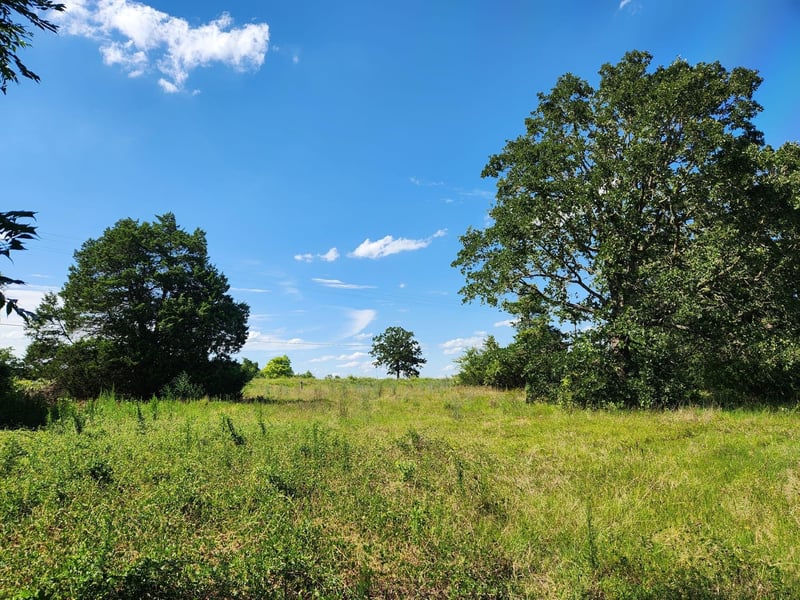 Lot-1 Fm 2336 , Bastrop, TX 78602