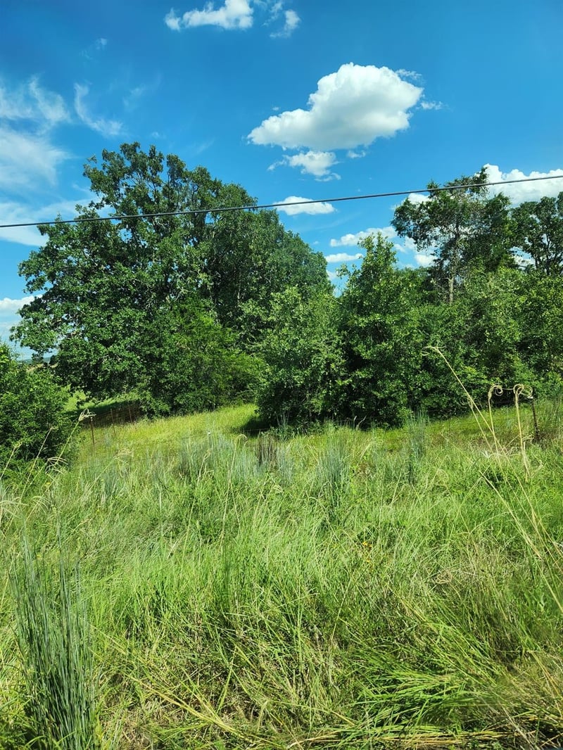 Lot-1 Fm 2336 , Bastrop, TX 78602