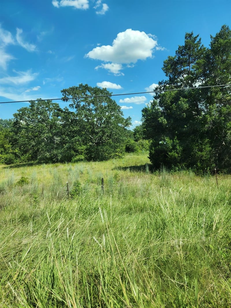 Lot-2 Fm 2336 , Bastrop, TX 78602
