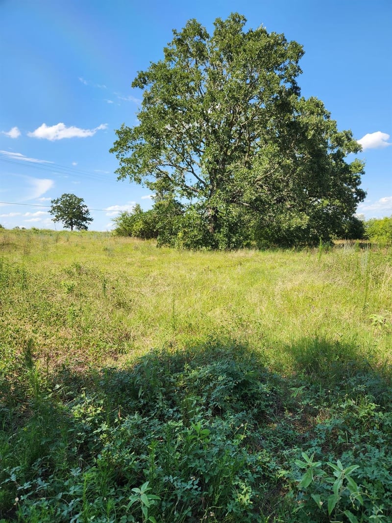 Lot-2 Fm 2336 , Bastrop, TX 78602