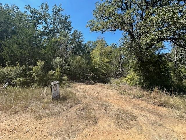 0 Tbd lot 102 and lot 100 Ripple Brook DR, Bastrop, TX 78602