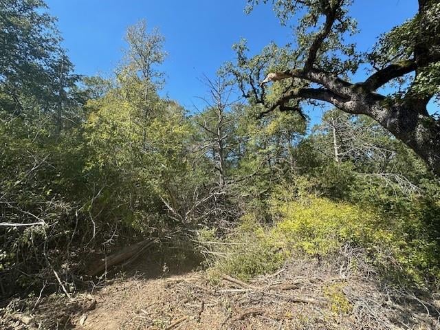 0 Tbd lot 102 and lot 100 Ripple Brook DR, Bastrop, TX 78602