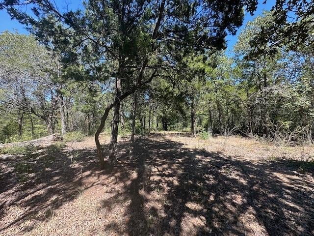 0 TBD lot 103 Ripple Brook DR, Bastrop, TX 78602