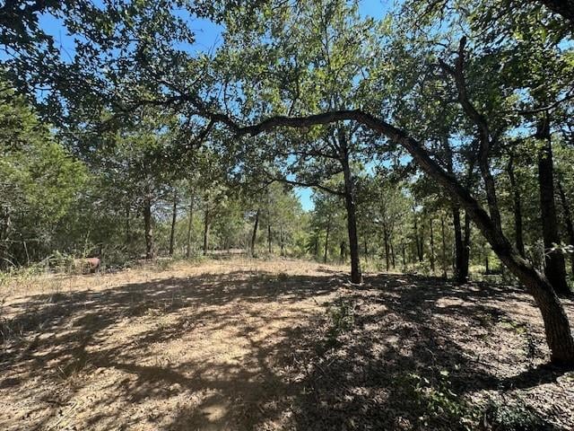 0 TBD lot 103 Ripple Brook DR, Bastrop, TX 78602