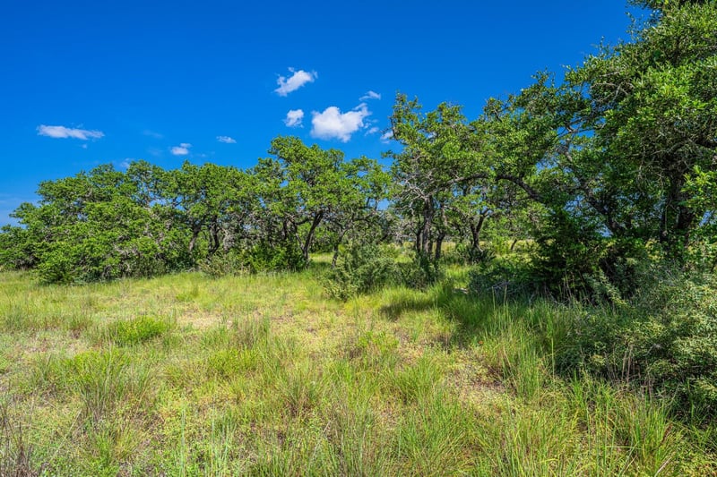 613 Cattle Creek RD, Johnson City, TX 78636