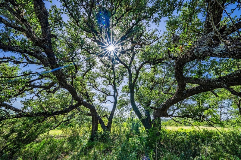 613 Cattle Creek RD, Johnson City, TX 78636