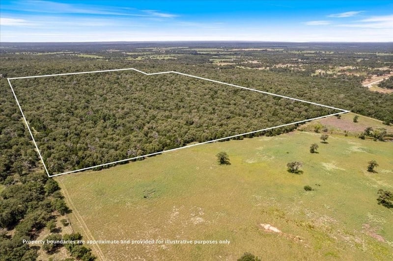 000 Hidden Oaks LN, Elgin, TX 78621
