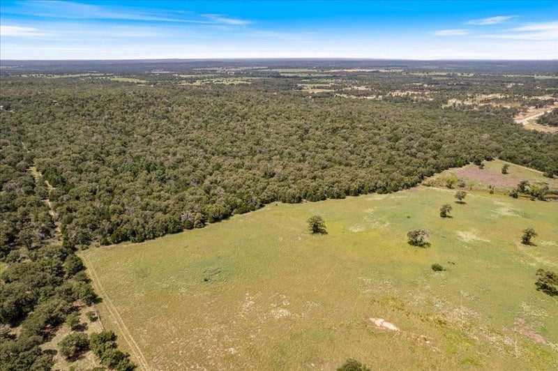 000 Hidden Oaks LN, Elgin, TX 78621