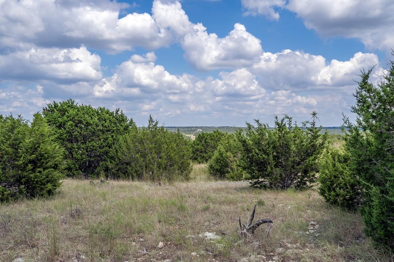 584 Saddle Ridge DR, Bertram, TX 78605