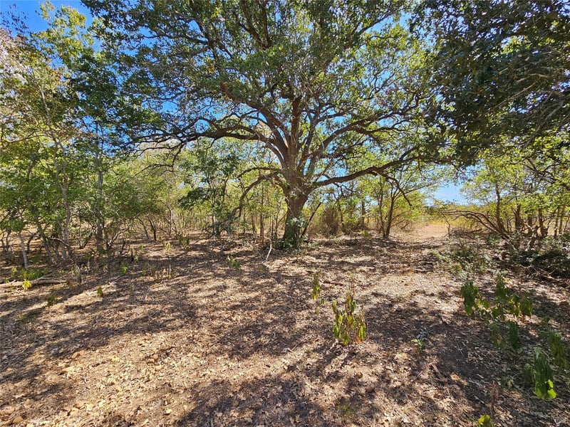 2364 Westwood RD, Lockhart, TX 78644