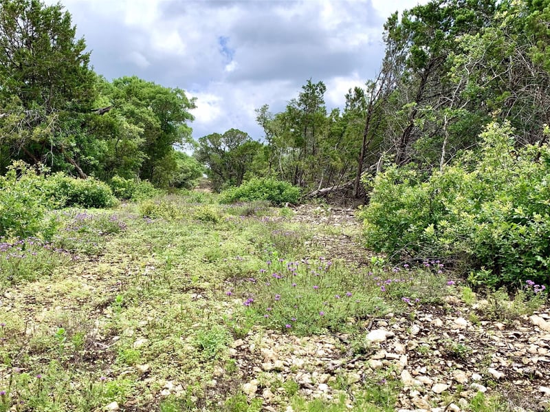 Lot 7 Sawtooth DR, Bertram, TX 78605