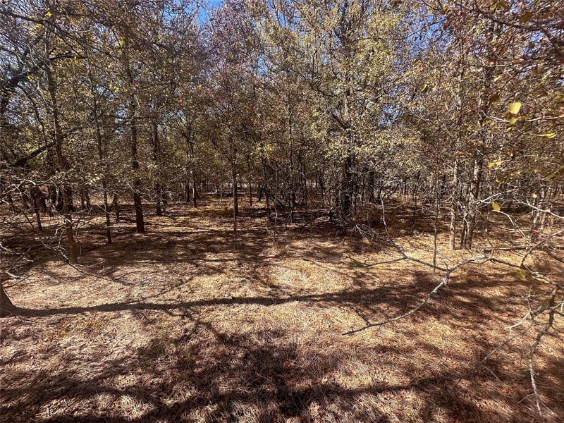 128 Maunalua DR, Bastrop, TX 78602