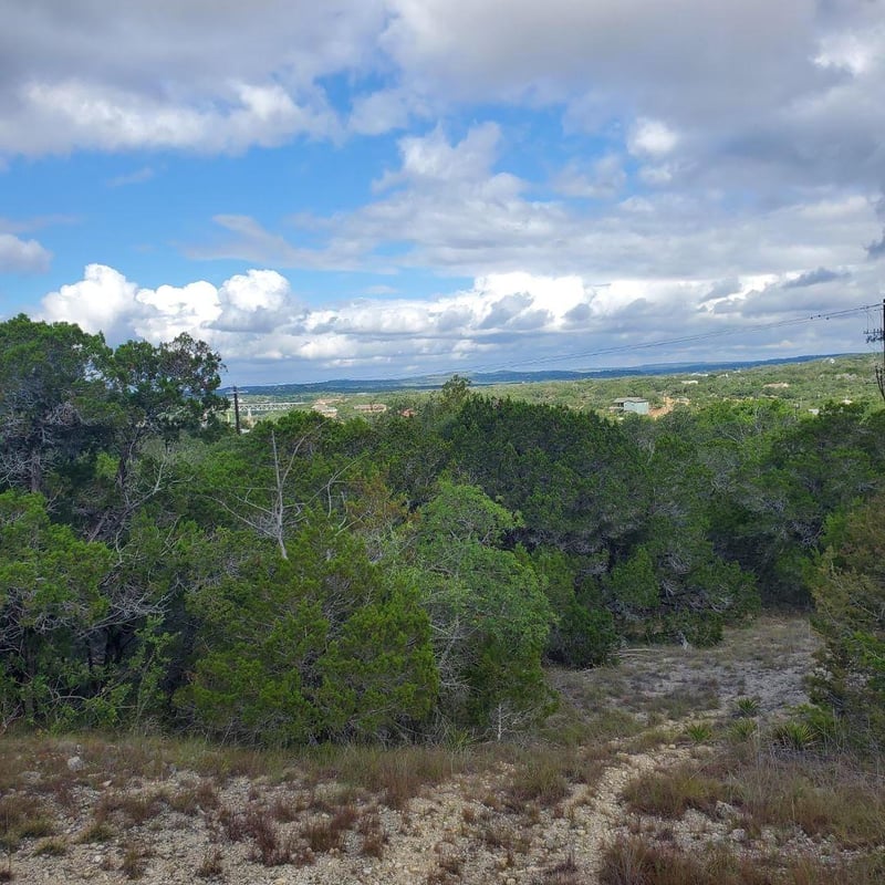2303 Pace Bend RD S, Spicewood, TX 78669