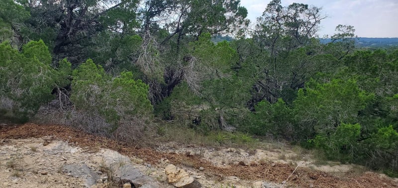 2303 Pace Bend RD S, Spicewood, TX 78669