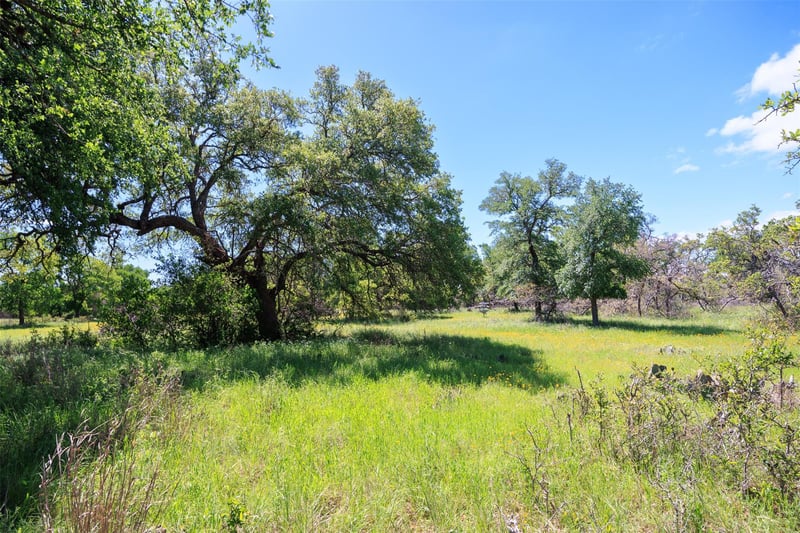 480 Blue Creek DR, Dripping Springs, TX 78620