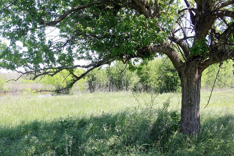 1023 Sierra DR, Lockhart, TX 78644