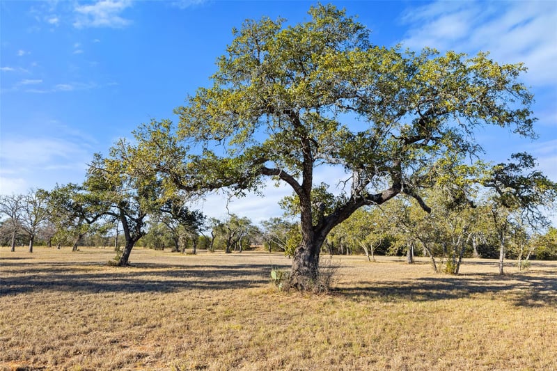 167 Mr Charlie LN, Round Mountain, TX 78663