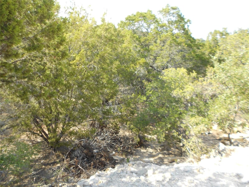3208 Hamilton Ave, Lago Vista, TX 78645