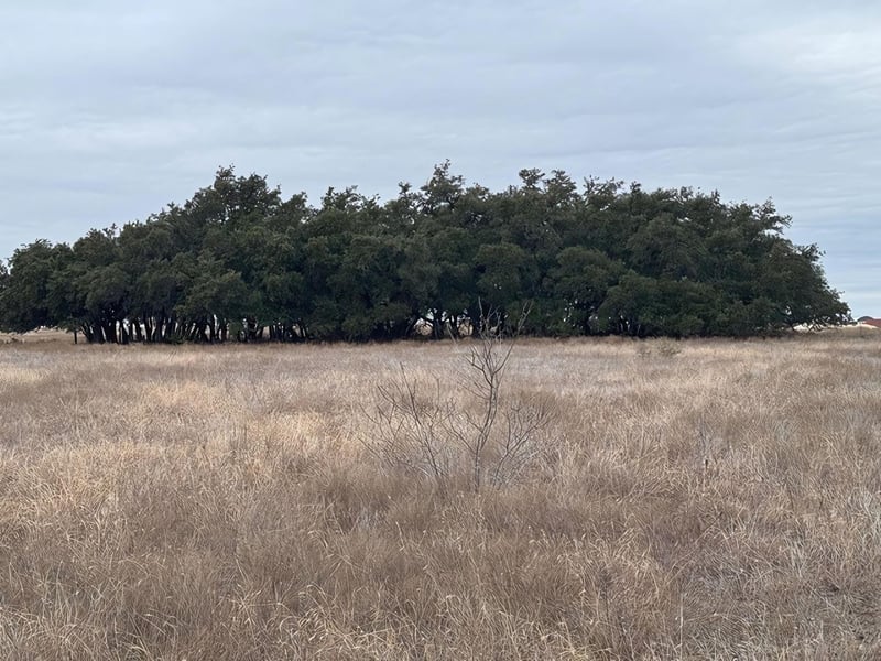 TBD1 Cr 221 , Florence, TX 76527