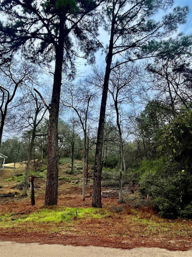 122 Helemano DR, Bastrop, TX 78602