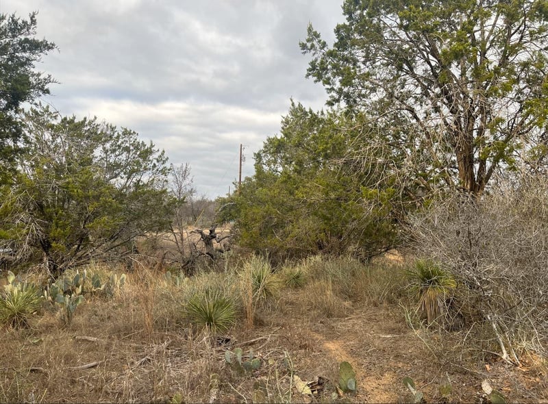 Lot 261 W Briarway DR, Granite Shoals, TX 78654