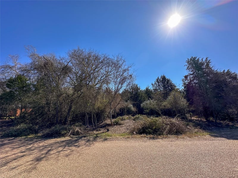 LOT 1 Alta Vista DR, Bastrop, TX 78602