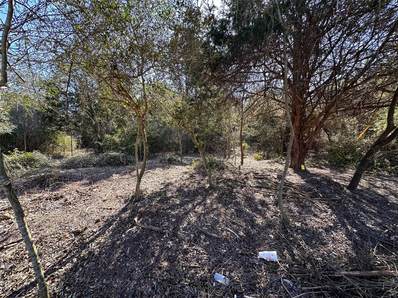 LOT 1 Alta Vista DR, Bastrop, TX 78602