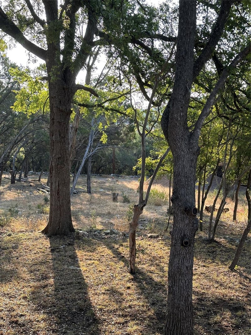 12333A Ranch Rd 12 #1, Wimberley, TX 78676