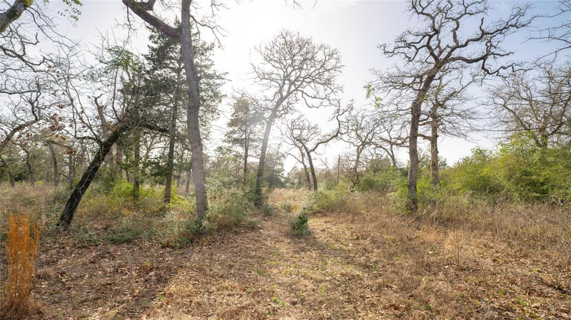 363 Private Road 3745, Milano, TX 76556