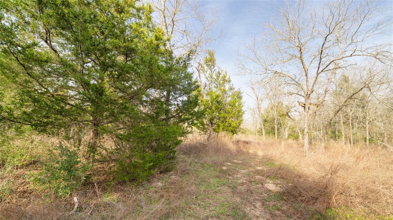 363 Private Road 3745, Milano, TX 76556