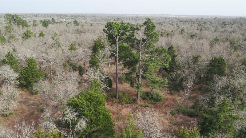 363 Private Road 3745, Milano, TX 76556