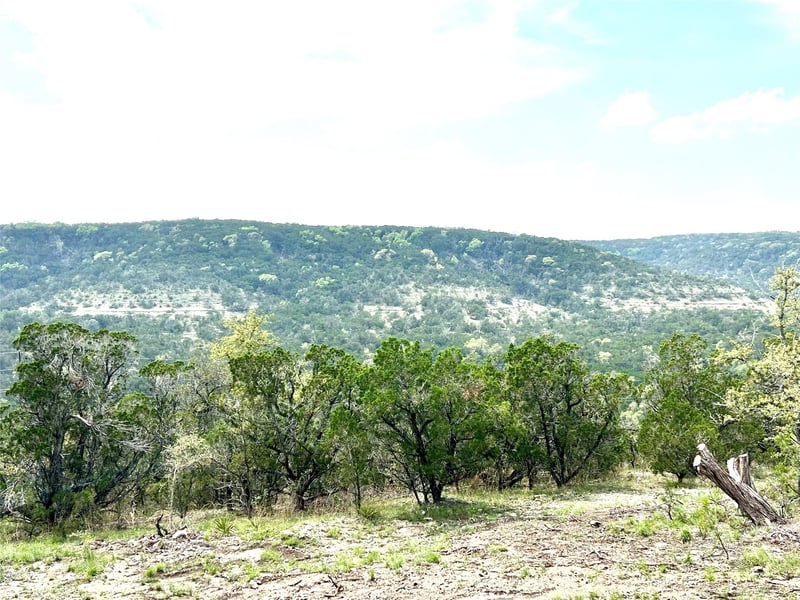 10651 Ranch Road 12 UN #D, Wimberley, TX 78676